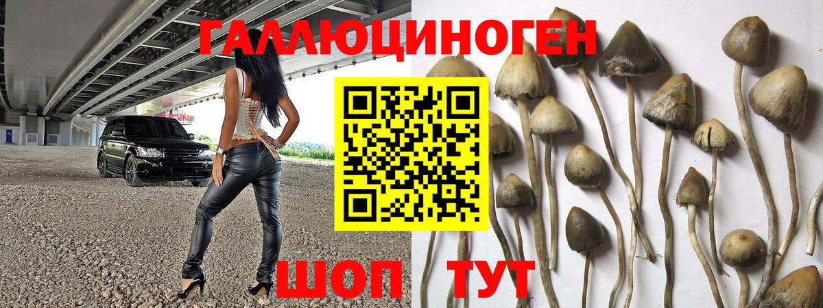Псилоцибиновые грибы Magic Shrooms Димитровград