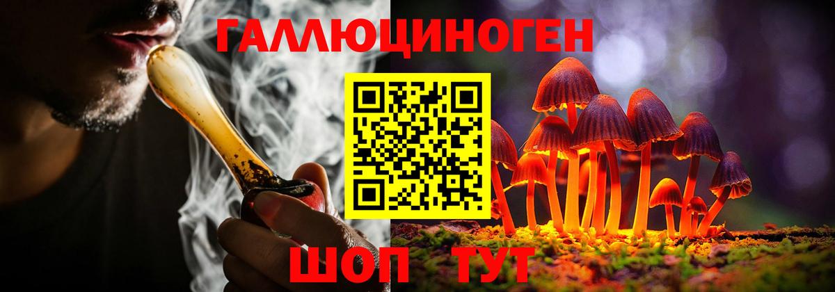 даркнет сайт  Галлюциногенные грибы Cubensis  Псилоцибиновые грибы ЛСД  Вход с VPN  Димитровград 